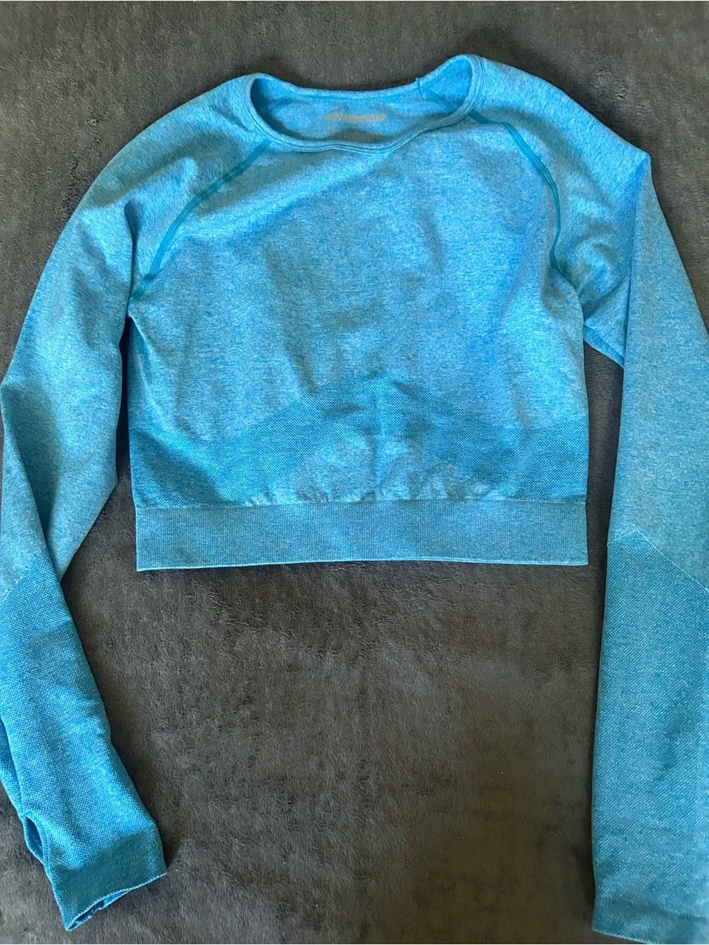 Women Light Blue Seamless Leggings & Crop Long Sleeve Set M/L